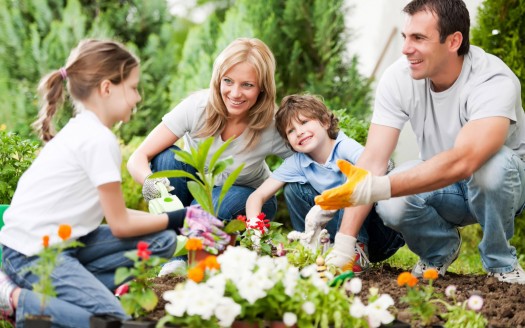Summer Time Gardening in fron of ann arbor apartment