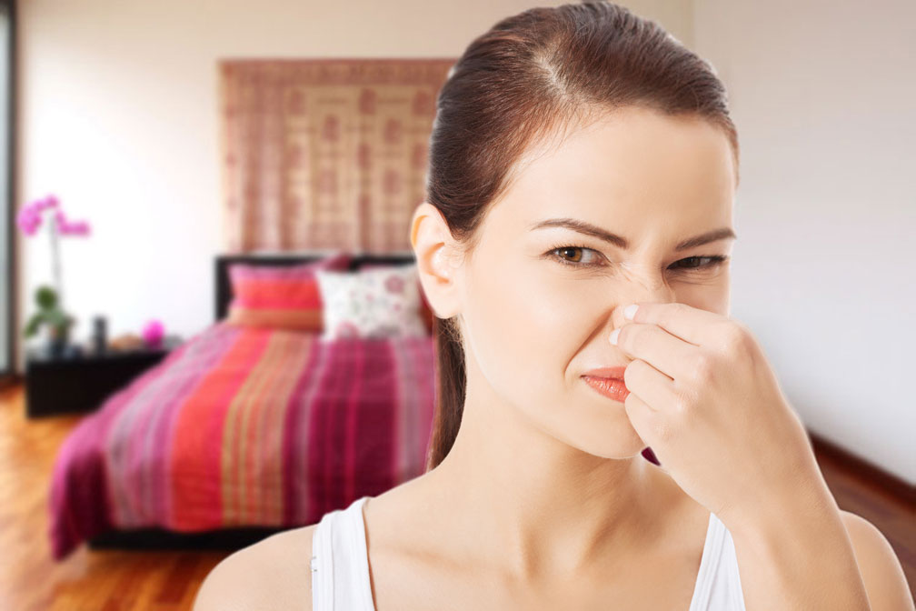 How to Eliminate Foul Apartment Odors